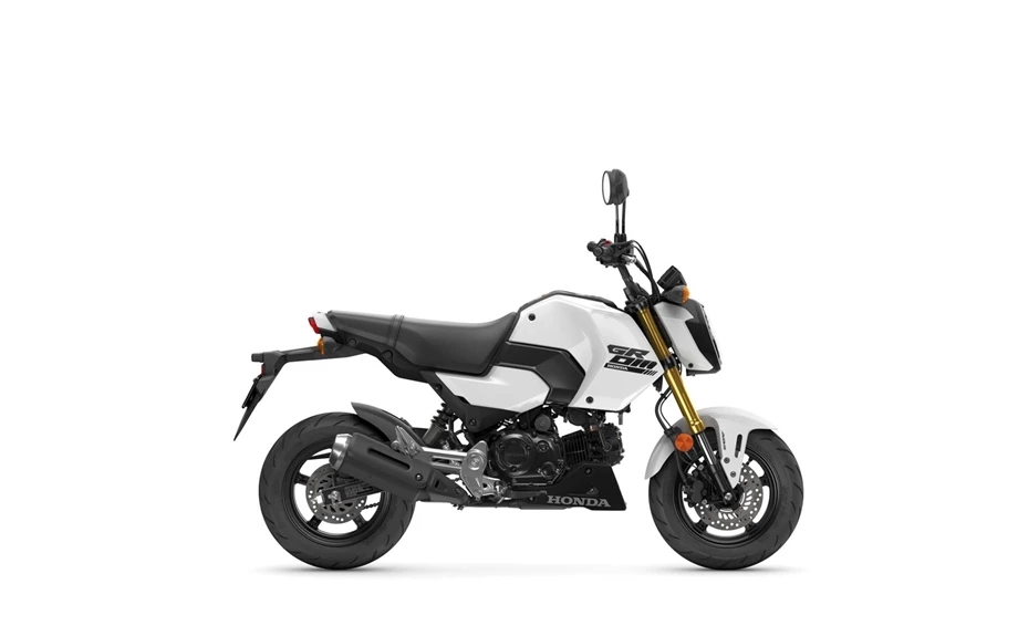 Honda MSX125 Grom Bild 11: Honda MSX125 Grom