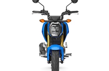 Honda MSX125 Grom 2025 - Bild 14 Honda MSX125 Grom 2025 - Bild 14