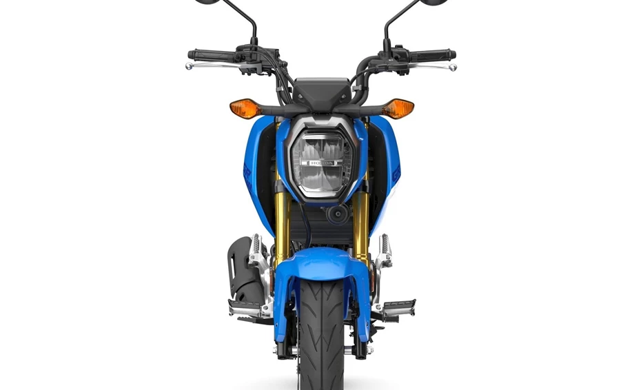 Honda MSX125 Grom Bild 13: Honda MSX125 Grom