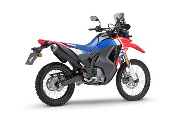 Honda CRF300 Rally 2025 - Bild 6 Honda CRF300 Rally 2025 - Bild 6
