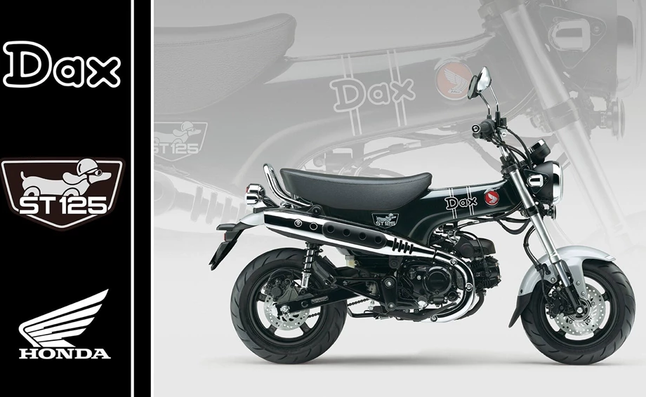 Honda Dax 125 Bild 5: Honda Dax 125