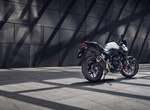 Honda CB500 Hornet