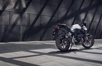 Honda CB500 Hornet 2025 - Bild 18 Honda CB500 Hornet 2025 - Bild 18