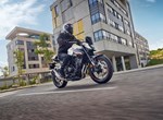 Honda CB500 Hornet