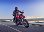 Honda CB1000 Hornet