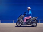 Honda PCX125 DX