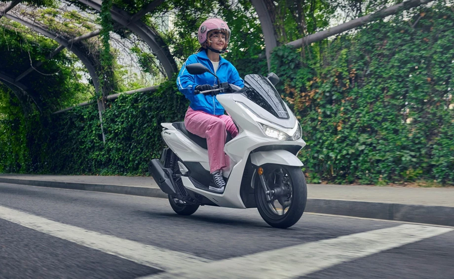 Honda PCX125 Bild 2: Honda PCX125