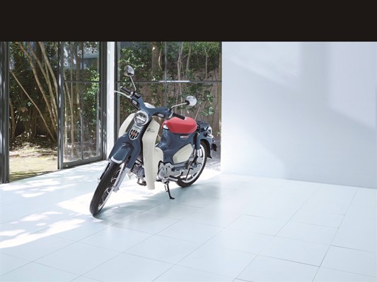 Honda Super Cub C 125 () - Bild 5
