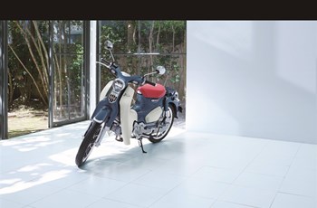 Honda Super Cub C 125 2025 - Bild 6 Honda Super Cub C 125 2025 - Bild 6