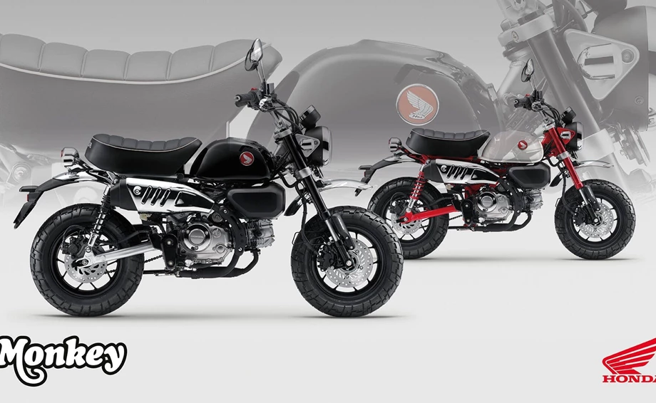 Honda Monkey 125 Bild 8: Honda Monkey 125