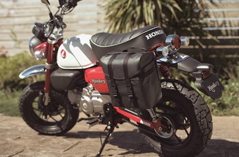 Honda Monkey 125 2025 - Bild 5