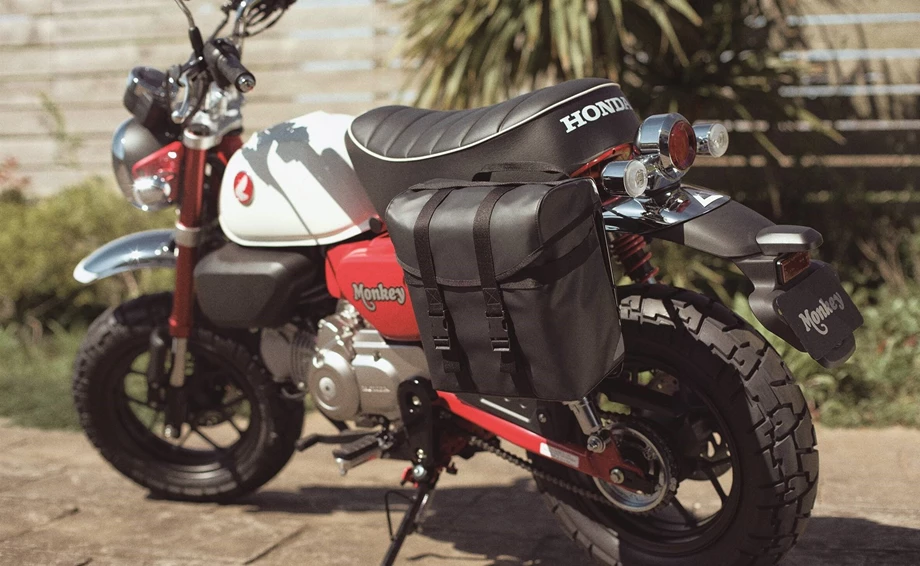Honda Monkey 125 Bild 4: Honda Monkey 125