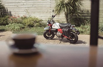 Honda Monkey 125 2025 - Bild 4