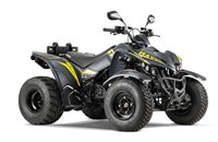 Kymco Maxxer S 300 T Onroad 2025 - Bild 3