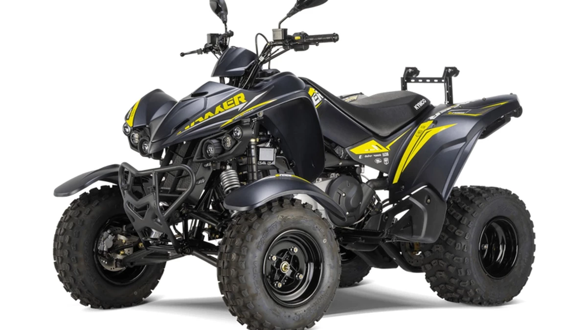 Kymco Maxxer 300 T Offroad Bild 5: Kymco Maxxer 300 T Offroad