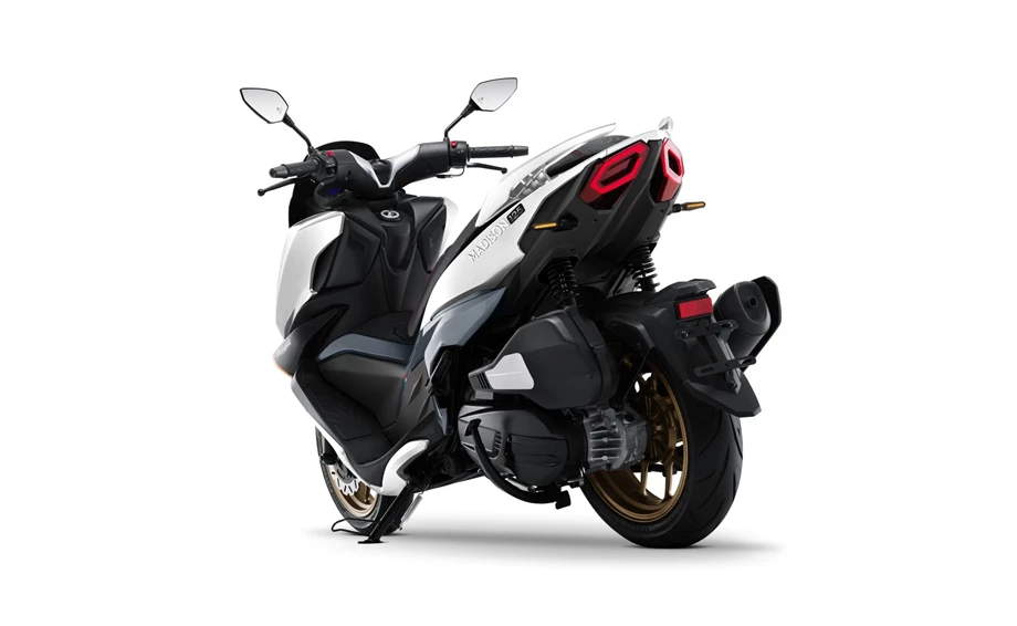 Malaguti Madison 125 Bild 6: Malaguti Madison 125