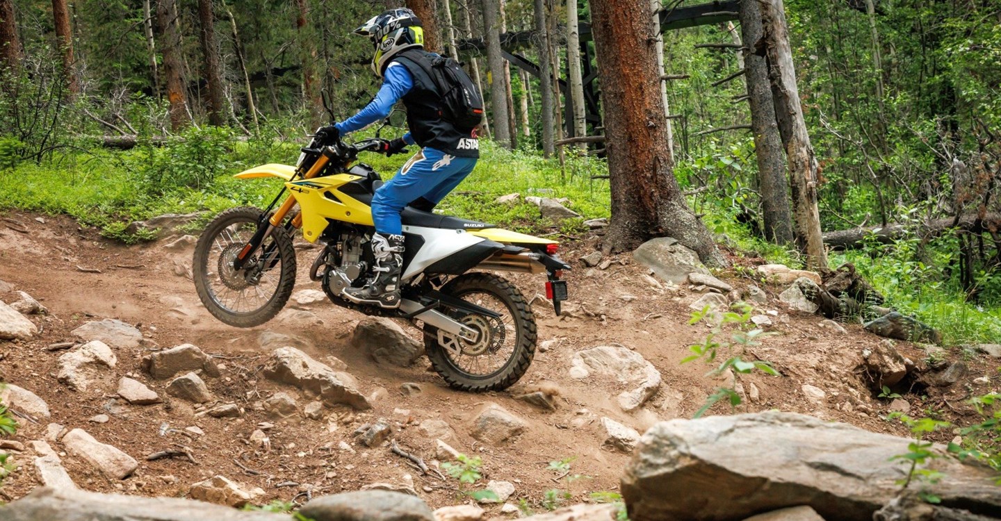 Suzuki DRZ-4S