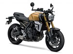 Suzuki GSX-8T