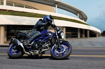 Suzuki SV650 2025 - Bild 5 Suzuki SV650 2025 - Bild 5