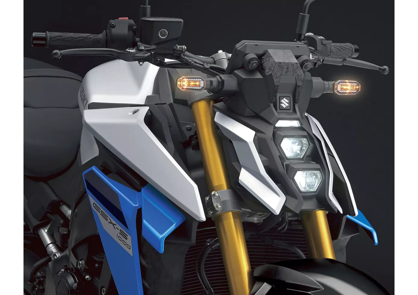 Suzuki GSX-S1000 2025 Suzuki GSX-S1000 2025