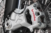 MV Agusta LXP Orioli 2025 - Bild 15