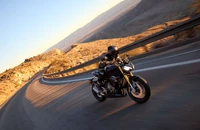 Triumph Speed Triple 1200 RS 2025 - Bild 12 Triumph Speed Triple 1200 RS 2025 - Bild 12