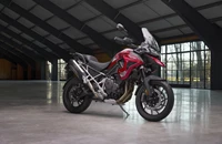 Triumph Tiger 1200 GT PRO 2025 - Bild 14 Triumph Tiger 1200 GT PRO 2025 - Bild 14