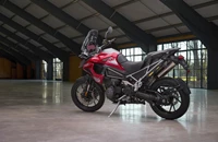 Triumph Tiger 1200 GT PRO 2025 - Bild 15 Triumph Tiger 1200 GT PRO 2025 - Bild 15