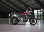 Triumph Tiger 1200 GT Explorer
