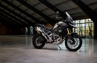 Triumph Tiger 1200 Rally PRO 2025 - Bild 13 Triumph Tiger 1200 Rally PRO 2025 - Bild 13