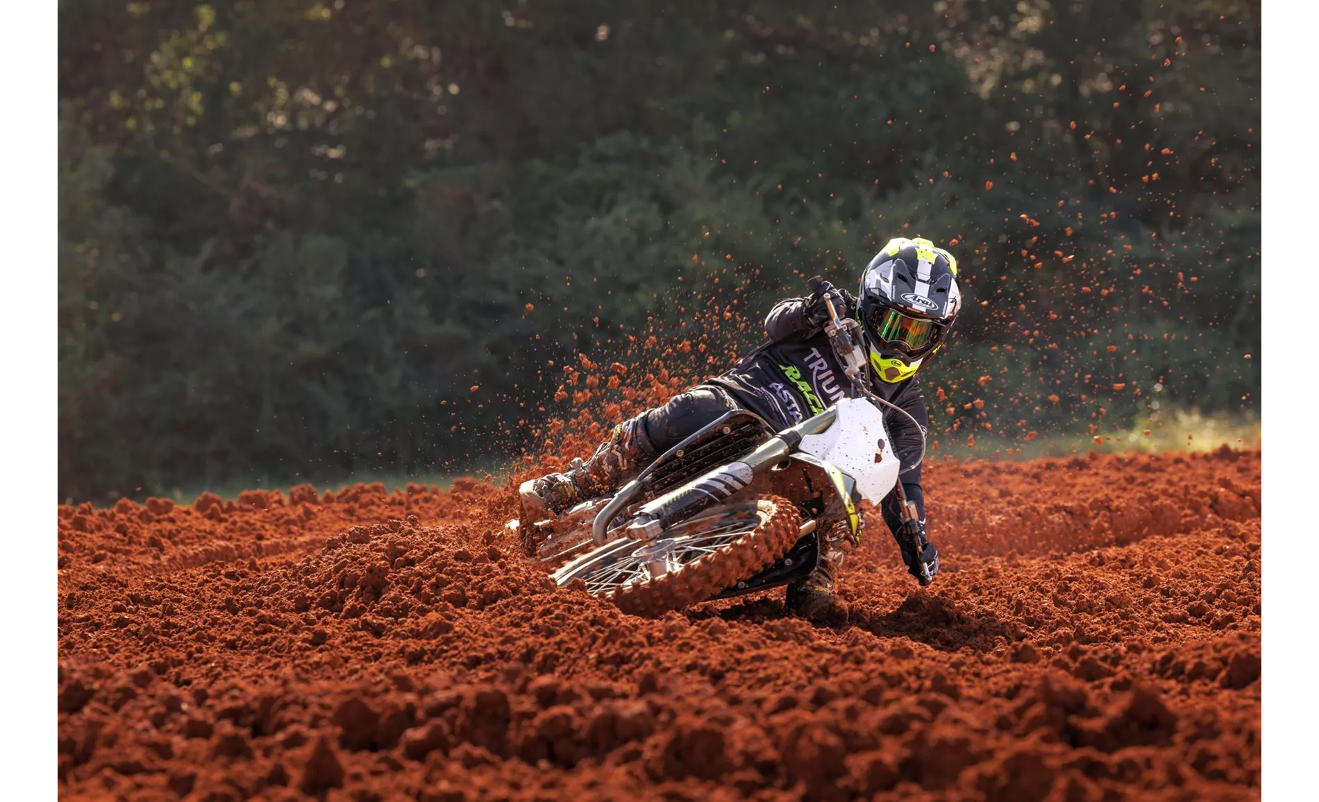 Triumph TF 250-X 2025 Triumph TF 250-X 2025