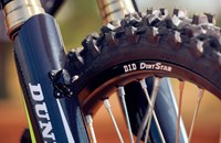 Triumph TF 450-RC EDITION 2025 - Bild 12