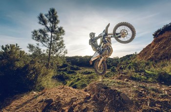 Triumph TF 450-E 2025 - Bild 6