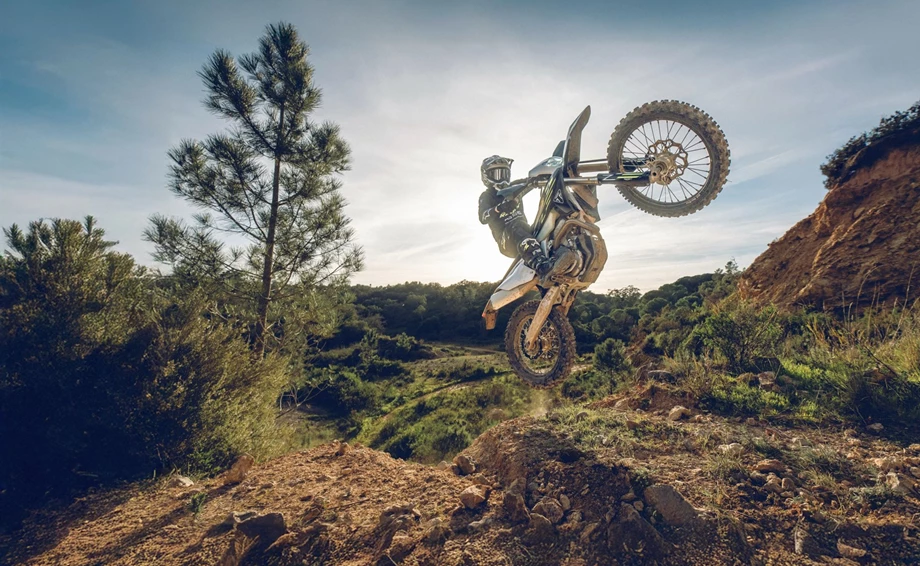 Triumph TF 450-E Bild 5: Triumph TF 450-E