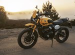 Triumph Scrambler 400 XC