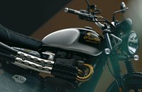 Triumph Scrambler 900 Icon Edition 2025 - Bild 3