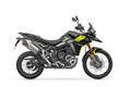 Triumph Tiger 900 Rally Pro 2025