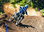 Yamaha YZ250F Monster Energy Edition