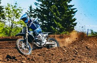 Yamaha YZ450F Monster Energy Edition 2025 - Bild 9
