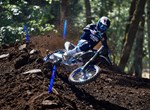 Yamaha YZ450F Monster Energy Edition