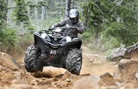 Yamaha Grizzly 700 EPS SE 2025 - Bild 6
