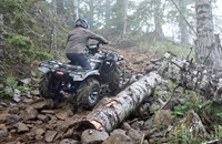 Yamaha Grizzly 700 EPS SE 2025 - Bild 11