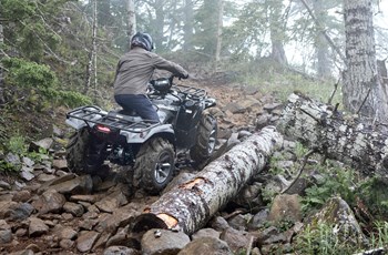 Yamaha Grizzly 700 EPS SE 2025 - Bild 11