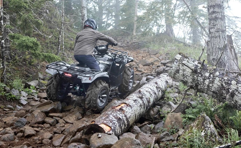 Yamaha Grizzly 700 EPS SE Bild 10: Yamaha Grizzly 700 EPS SE