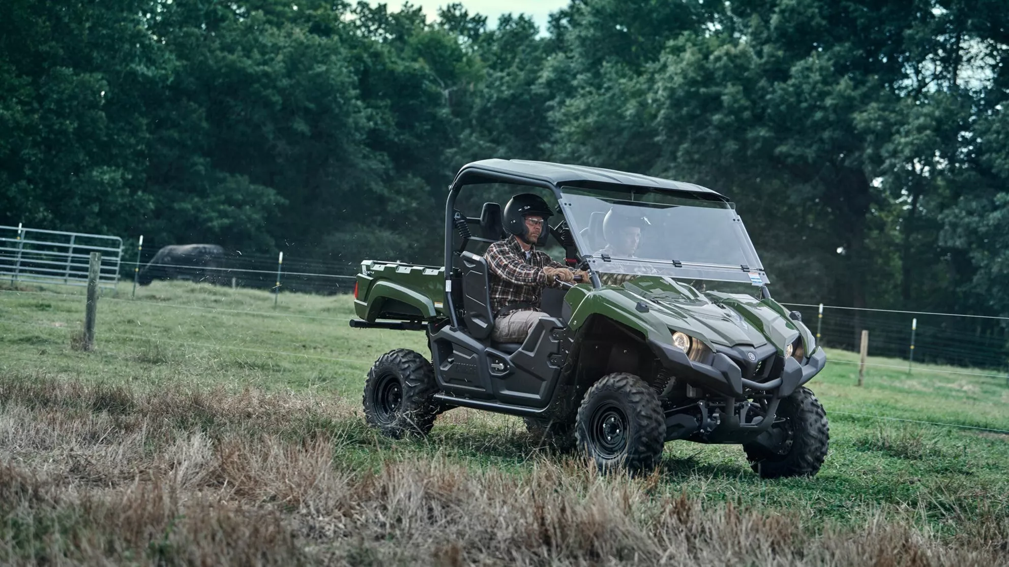 Yamaha Viking EPS - Image 9 Yamaha Viking EPS - Image 9