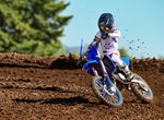 Yamaha YZ85