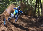 Yamaha YZ250 Monster Energy Yamaha Racing Edition