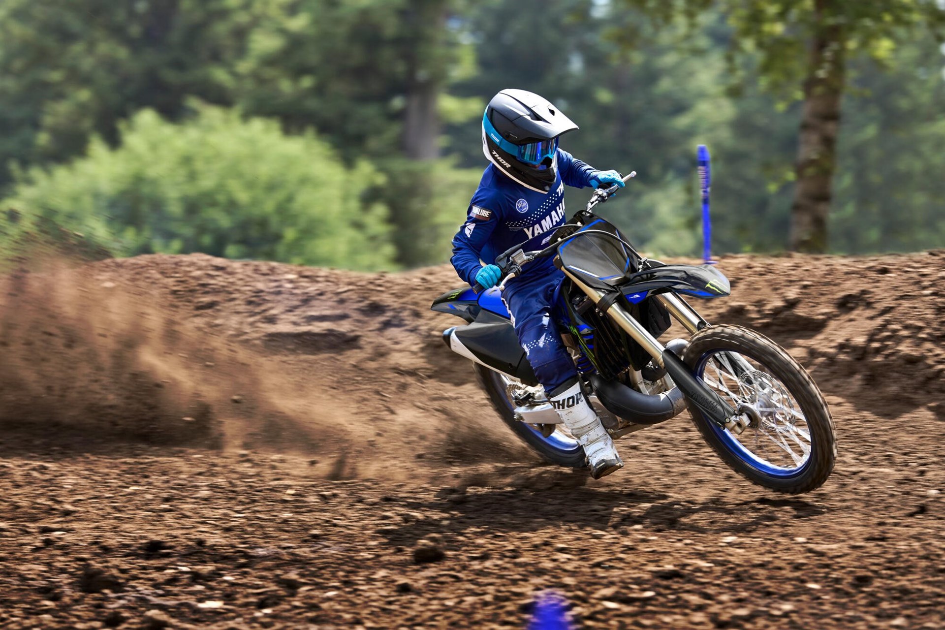 Yamaha YZ250 Monster Energy Yamaha Racing Edition