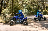 Yamaha YFM110R 2025 - Bild 3