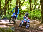 Yamaha PW50